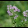 20130715_168